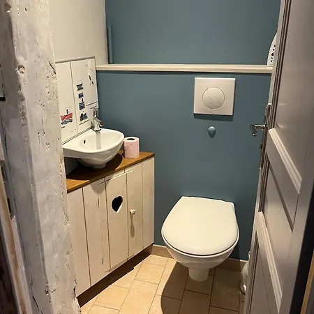 La Petite Reine De L'abbaye Appartement Thiers