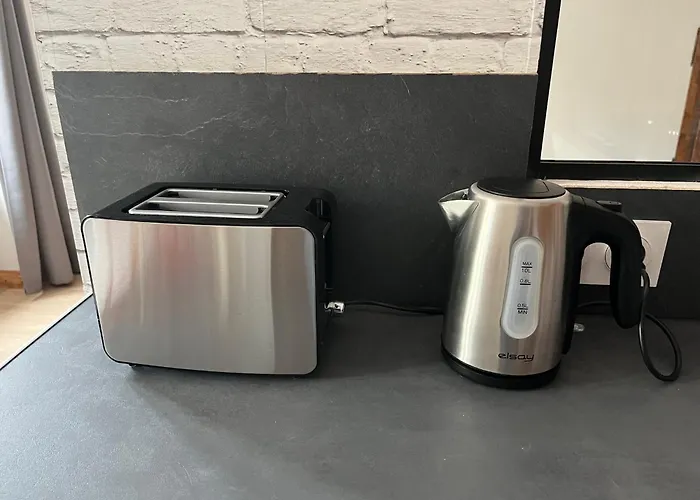 La Petite Reine De L'abbaye Appartement Thiers