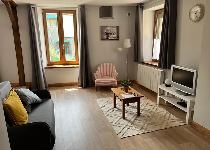La Petite Reine De L'abbaye Appartement Thiers